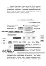 Referāts 'Menedžmenta plāns aptiekai', 11.