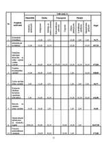 Referāts 'Projekts "Viesu nams"', 19.