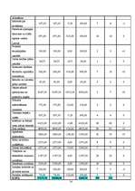 Referāts 'Projekts "Viesu nams"', 21.