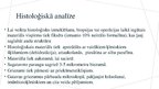 Prezentācija 'Melanomas biopsija, pataloģija', 7.