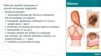 Prezentācija 'Melanomas biopsija, pataloģija', 13.