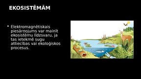 Prezentācija 'Elektromagnētiskais piesārņojums un tā ietekme uz kokaugiem', 13.