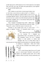 Referāts 'Graudaugi un to pārstrādes produkti', 8.