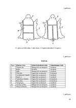 Referāts 'Ķīmisko vielu izmantošana ādas apstrādē', 25.