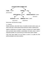 Referāts 'Personības attīstība un socializācijas process', 10.