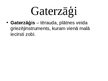 Prezentācija 'Gateri', 16.