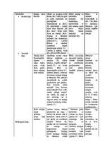 Konspekts 'Integretā prakse pirmsskolā (2-3 gadus veci bērni)', 12.