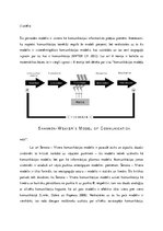 Referāts 'Šenona - Vīvera komunikācijas modelis', 8.