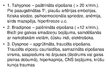 Prezentācija 'Akūta pulmonoloģija', 11.