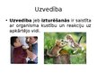 Prezentācija 'Sociālās attiecības un uzvedība', 10.