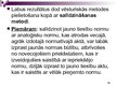 Prezentācija 'Vēsturiskā interpretācijas metode', 12.