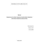 Referāts 'Starptautiskās delikta tiesības, investīciju tiesības, komerctiesības, transport', 1.