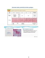 Referāts 'Dzemdes kakla vēža citoloģiska diagnostika', 10.