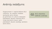 Prezentācija 'Anemija grūtniecības laikā', 5.