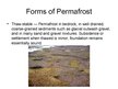 Prezentācija 'Permafrost and Soil Fluction', 8.