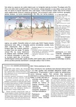 Konspekts 'Konspekts bioloģijā - 2.grāmata', 14.