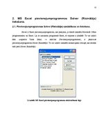 Referāts 'MS Excel programmas speciālās programmas', 10.