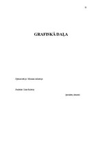 Prakses atskaite 'Organizācijas kultūra, vadība, vispārējais raksturojums', 32.