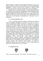 Referāts 'Генетика', 10.