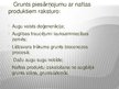 Prezentācija 'Naftas produktu attīrīšana gruntīs', 5.