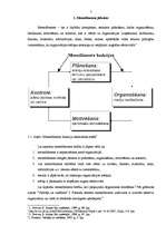 Referāts 'Menedžmenta funkcijas', 7.