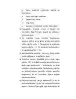 Referāts 'Bezdarba problēmas raksturojums Latvijā un Daugavpilī 2000.-2005.gadā', 42.