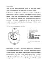 Referāts 'Sirds un tās slimības', 11.