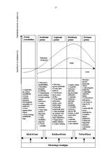 Referāts 'Mārketinga stratēģijas atbilstība produkta dzīves cikla posmam', 17.