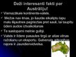 Prezentācija 'Austrālija', 9.