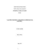 Referāts 'Saistību piespiedu izpildīšana brīdinājuma kārtībā', 1.