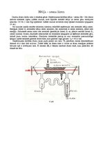 Referāts 'Optiskie kvantu ģeneratori - lāzeri', 3.