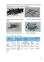 Diplomdarbs 'Magnētiskā lauka iedarbība uz fibrobetonu', 19.