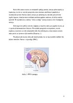 Referāts 'Postrtraumatiskā stresa sindroms', 8.