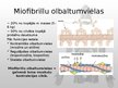 Prezentācija 'Muskuļu fizioloģija', 14.