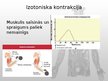 Prezentācija 'Muskuļu fizioloģija', 26.