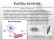 Prezentācija 'Muskuļu fizioloģija', 32.