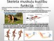 Prezentācija 'Muskuļu fizioloģija', 41.