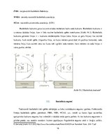 Biznesa plāns 'Basketbola laukuma izveidošanas izmaksas daudzstāvu māju pagalmos', 16.