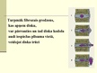 Prezentācija 'Starpskriemeļu diska trūce', 9.