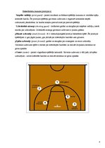 Referāts 'Izplatītākās basketbola traumas un izvairīšanās no tām', 6.