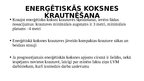 Prezentācija 'Tehniskās prasības biomasas uzglabāšanai un iekraušanai', 5.