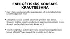 Prezentācija 'Tehniskās prasības biomasas uzglabāšanai un iekraušanai', 6.