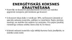 Prezentācija 'Tehniskās prasības biomasas uzglabāšanai un iekraušanai', 7.