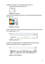 Prezentācija 'Analogu biroja programmu komplektu izpēte', 35.