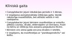 Prezentācija 'Klīniskais gadījums. Pediatrija. Kampilobaktēriju enterīts.', 15.