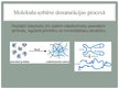 Prezentācija 'Olbaltumvielu denaturācija', 4.