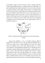 Referāts 'Kuģa izmaksu aprēķins, viedie kuģi, konteinerkravu transportēšana un specifikāci', 11.