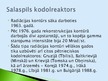 Prezentācija 'Kodolreaktori', 21.