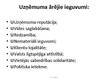 Prezentācija 'Korporatīvā sociālā atbildība un tās aktivitātes', 19.