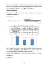 Referāts 'SIA "Dona" finansiālo rādītāju analīze', 22.